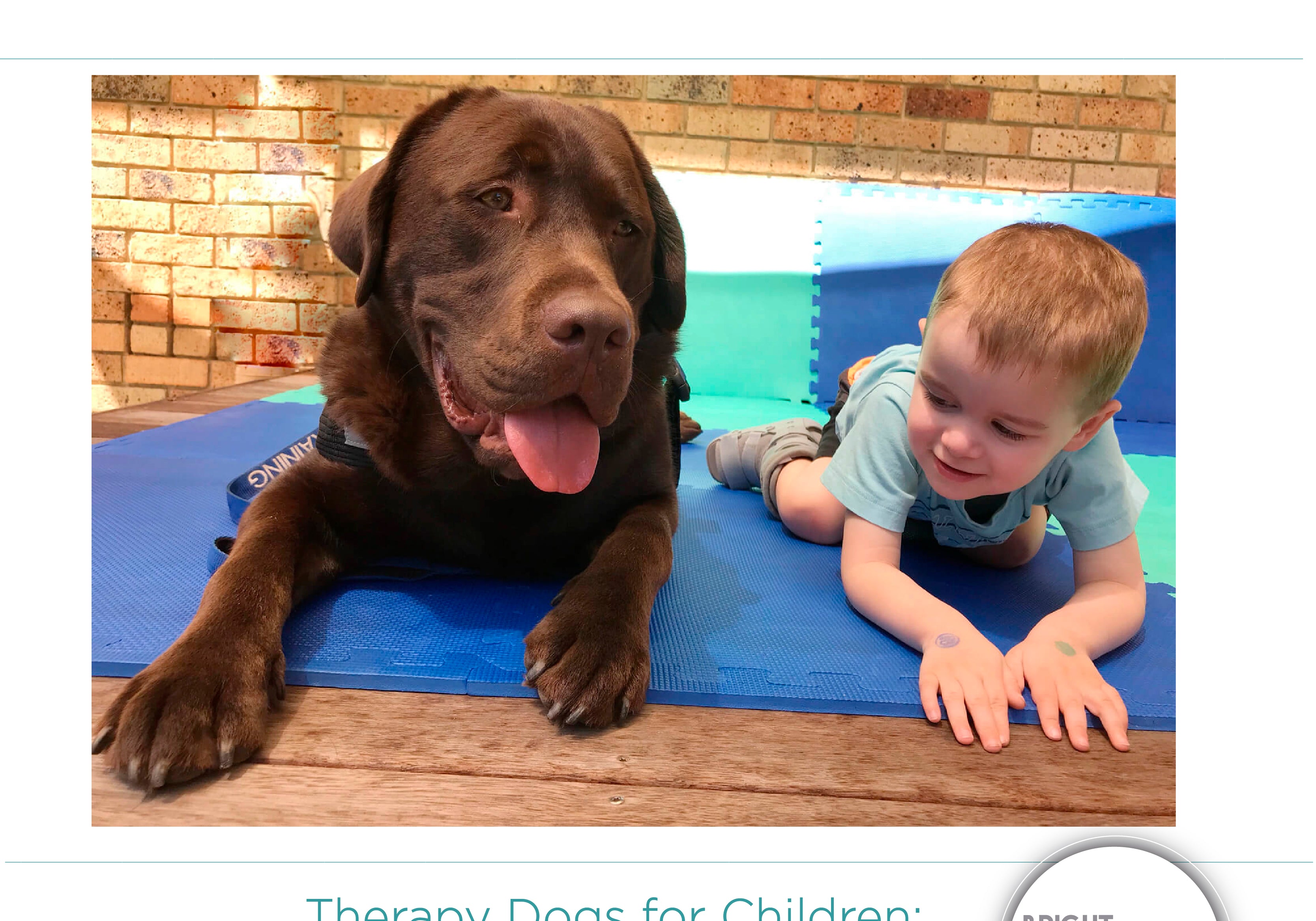 How Dogs can help children with autism?