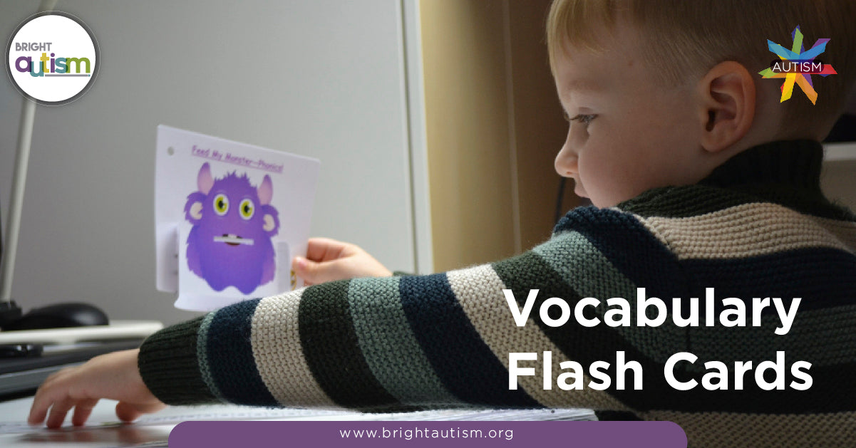 Vocabulary Flash Cards and Children with Autism