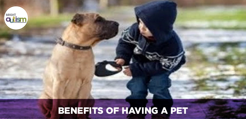 The Benefits of Having a Pet