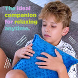 Texturized Vibrating Sensory Pillow